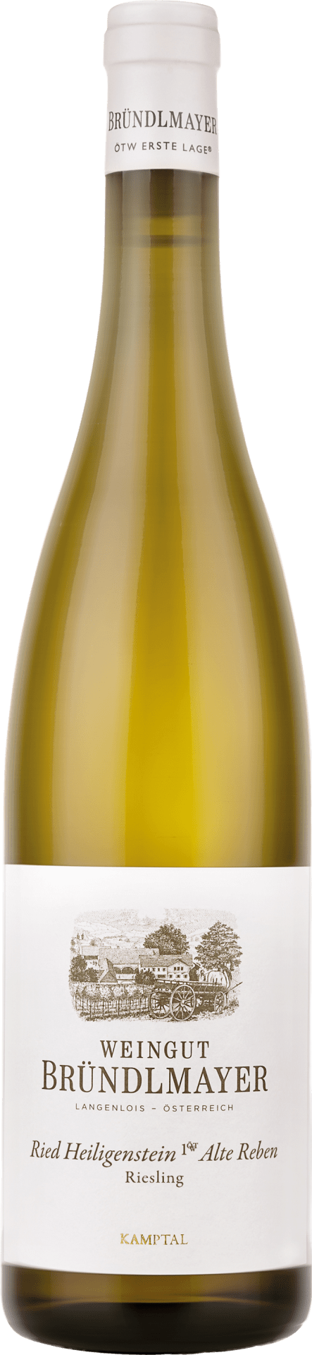 Weingut Bründlmayer Riesling "Alte Reben" - 2020