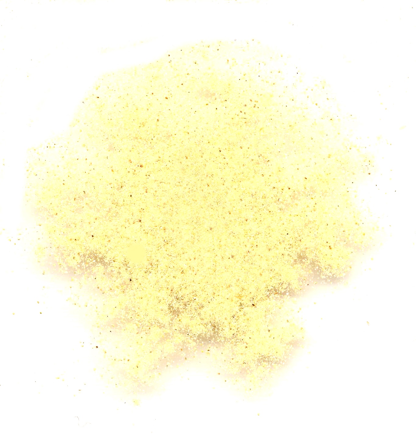 Zitronenschalen Wildsammlung BIO, gemahlen 100g Zitronenschalen Wildsammlung BIO, gemahlen 100g