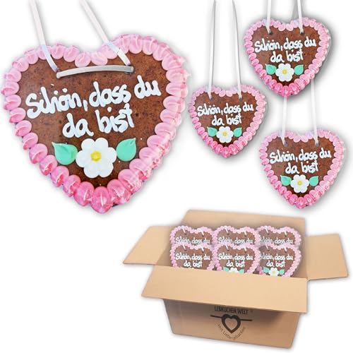 20 Stück Lebkuchenherzen "Schön, dass du da bist" Spruch ca.14cm, Gastgeschenk Lebkuchenherz LEBKUCHENWELT 20 Stück Lebkuchenherzen "Schön, dass du da bist" Spruch ca.14cm, Gastgeschenk Lebkuchenherz LEBKUCHENWELT von Lebkuchenwelt