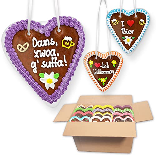 20x Lebkuchenherzen Mischkarton 18cm - Party Sprüche Premium Qualität Frisch & Saftig Lebkuchen Herzen Party-Deko Lebkuchenherz LEBKUCHEN WELT von Lebkuchenwelt