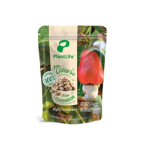 PlantLife BIO Cashewkerne 1kg - Rohe, Unbehandelte und Naturbelassene Cashew Nüsse von PlantLife