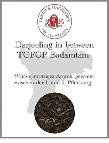 Lerbs & Hagedorn, Darjeeling in between TGFOP Badamtam | Würtzig Spritzig 1kg (ca. 81 Liter) von Lerbs & Hagedorn
