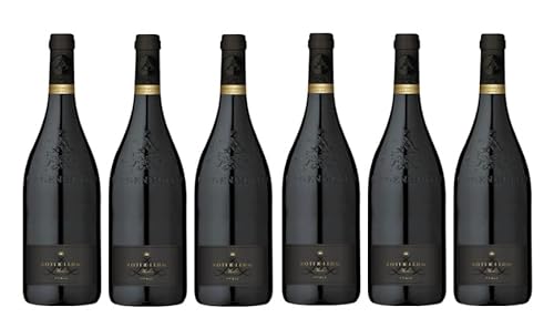 6x 0,75l - 2021er - Lergenmüller - Merlot - Roter Lehm - Qualitätswein Pfalz - Deutschland - Rotwein trocken von Lergenmüller