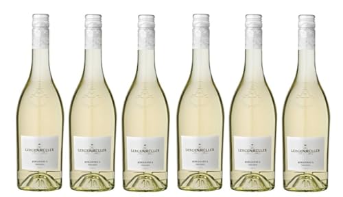 6x 0,75l - 2023er - Lergenmüller - "Johannes L" - Riesling - Qualitätswein Pfalz - Deutschland - Weißwein trocken von Lergenmüller