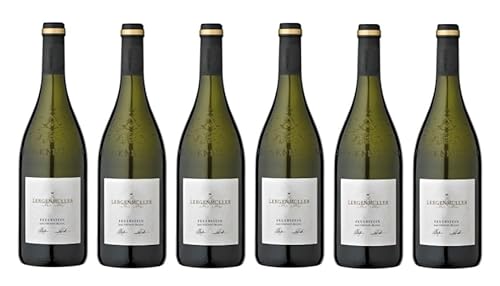 6x 0,75l - 2023er - Lergenmüller - Sauvignon Blanc - Feuerstein - Qualitätswein Pfalz - Deutschland - Weißwein trocken von Lergenmüller
