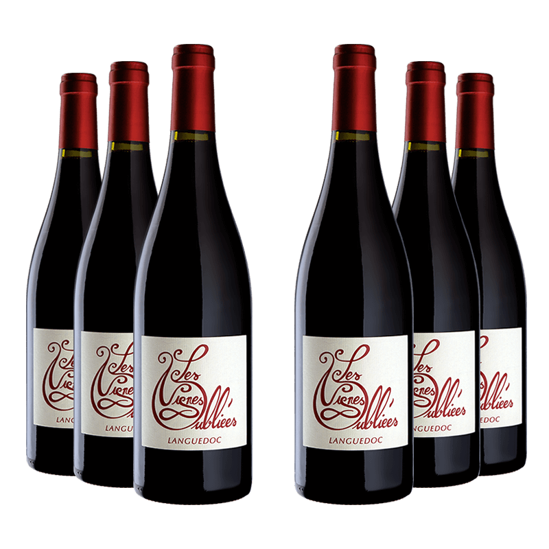 Les Vignes Oubliées : Autour du Cinsault 2021 Les Vignes Oubliées : Autour du Cinsault 2021 von Les Vignes Oubliées