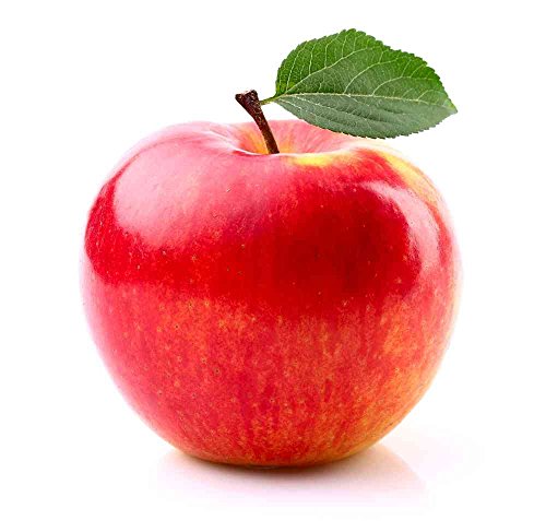 Äpfel Gala Royal 5 kg Box Neue Ernte Deutschland, Ernte 2020 von Lieferfrucht
