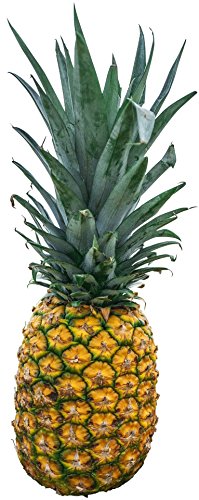 Ananas Extra Sweet Groß 1 Stück von Lieferfrucht