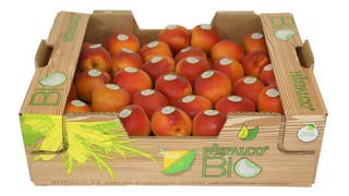 Aprikosen frisch süß, saftig, saftig 2 kg Aprikosen frisch süß, saftig, saftig 2 kg von Lieferfrucht