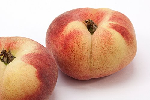 Bergpfirsiche frisch, beste Qualität 20 Stück / Packung von Lieferfrucht
