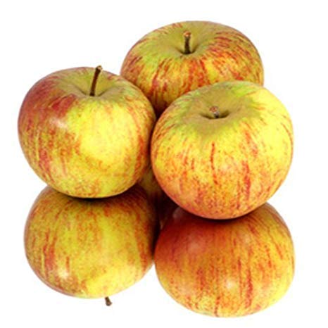 Cox Orange Äpfel vom Bodensee, süß säuerlich in 10 kg Kiste Handelsklasse 1 von Lieferfrucht