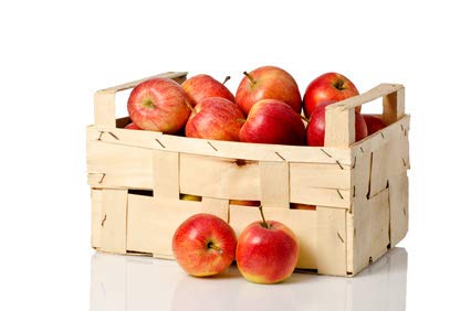 Elstar Äpfel aus Neue Ernte Deutschland, 10 kg Kiste von Lieferfrucht