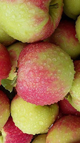Elstar Äpfel frisch & knackig, Neue Ernte 2023 aus Deutschland 5 kg Box von Lieferfrucht