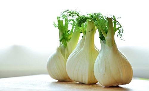 Fenchel frisch, 3 er Packung aus Italien von Lieferfrucht