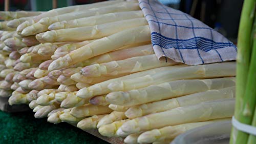 Frischer Spargel weiß aus Deutschland, Holland, Spanien oder Griechenland 1 kg Gebinde von Lieferfrucht