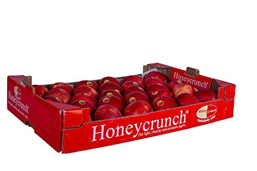Honeycrunch Äpfel süß säuerlich in 7 kg Karton von Lieferfrucht