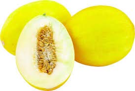 Honigmelonen frisch, saftig und süße große Frucht Stückverkauf Honigmelonen frisch, saftig und süße große Frucht Stückverkauf von Lieferfrucht
