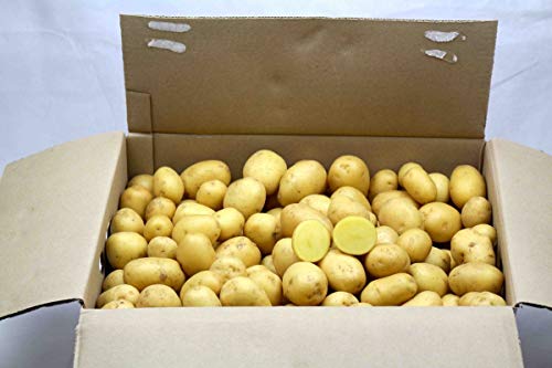 Kartoffeln Drillinge 10 kg Karton von Lieferfrucht