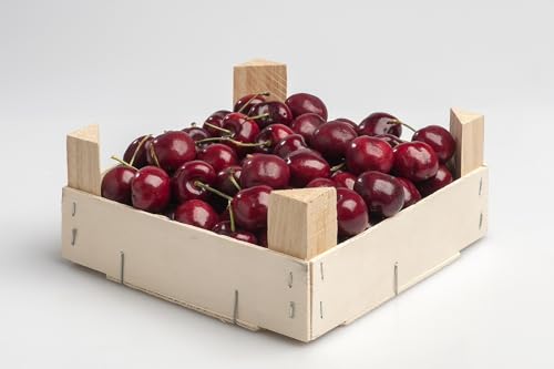 Kirschen frisch aus Chile in Premiumqualität im 5,0 kg Karton Klasse 1 Kirschen frisch aus Chile in Premiumqualität im 5,0 kg Karton Klasse 1 von Lieferfrucht