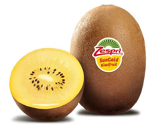Kiwi Gold Premiumqualität, große Früchte 5 Stück Packung aus Italien oder Neuseeland von Lieferfrucht