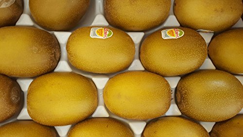Kiwi Gold aromatisch & gut, 25 Stück/ Karton aus Italien oder Neuseeland von Lieferfrucht