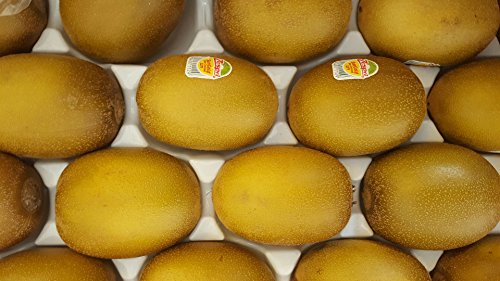 Kiwi Gold aromatisch & gut, 25 Stück/ Karton aus Italien oder Neuseeland Kiwi Gold aromatisch & gut, 25 Stück/ Karton aus Italien oder Neuseeland von Lieferfrucht