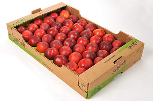 Nektarinen frisch 7 kg Karton von Lieferfrucht