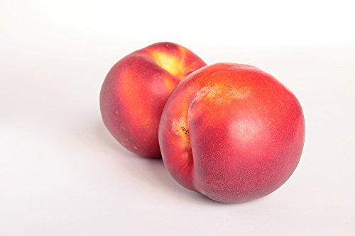 Nektarinen weiß, große Früchte 10 Stück Nektarinen weiß, große Früchte 10 Stück von Lieferfrucht