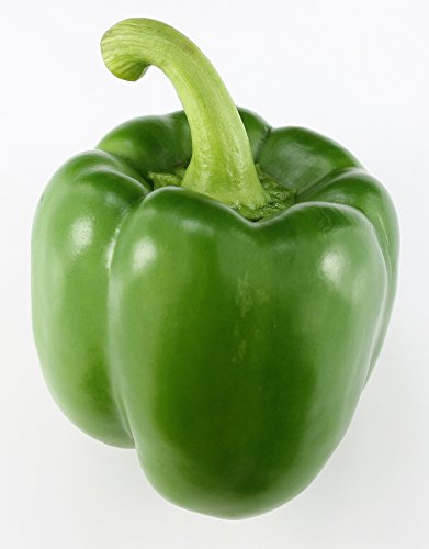 Paprika grün frisch,3 er Packung von Lieferfrucht
