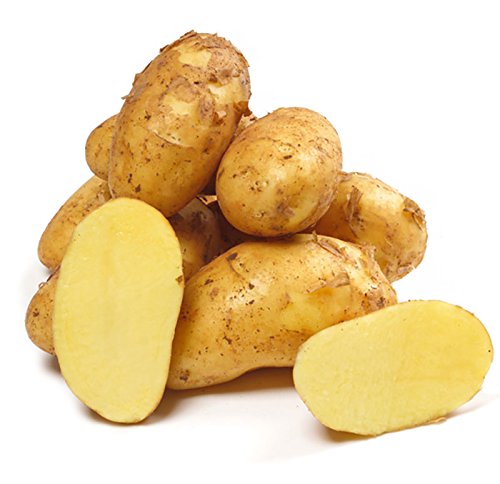 Pfälzer Speisekartoffeln Sorte: Berber vorwiegend-festkochend 25 kg Gebinde von Lieferfrucht