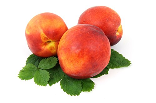 Pfirsiche gelb frisch, große Früchte 10 Stück Packung von Lieferfrucht