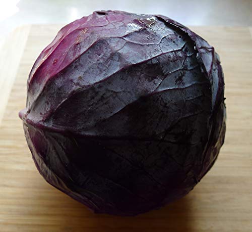 Rotkohl großer Kopf aus Deutschland von Lieferfrucht