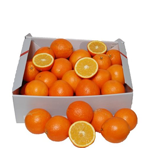 Saftorangen Super Saftig 6 kg Box von Lieferfrucht