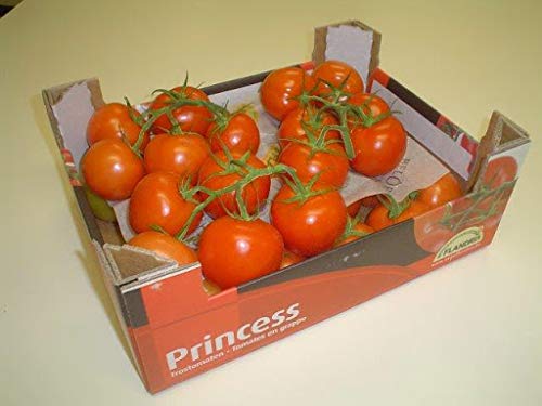 Staruchtomaten frisch 5 kg Karton zum Sonderpreis von Lieferfrucht