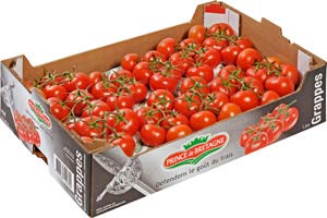 Strauchtomaten aus Frankreich 10 kg Karton von Lieferfrucht