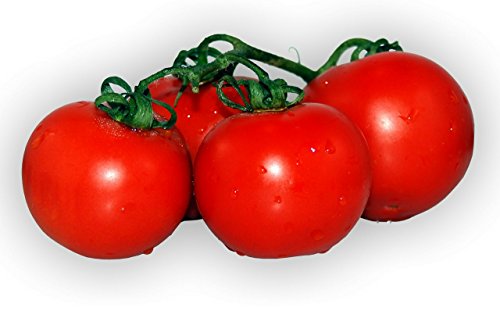 Strauchtomaten frisch und schnittfest, 1 kg Packung von Lieferfrucht