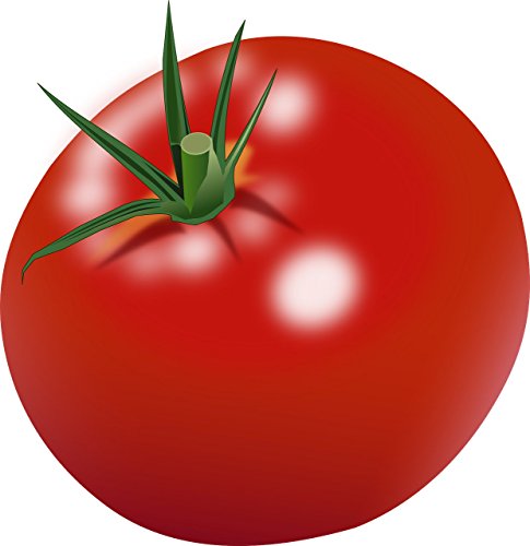 Tomaten rund, schnittfest und günstig / 6 kg Karton von Lieferfrucht