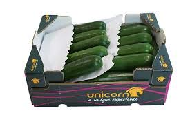 Zucchini frisch im 5 kg Karton aus Spanien Zucchini frisch im 5 kg Karton aus Spanien von Lieferfrucht