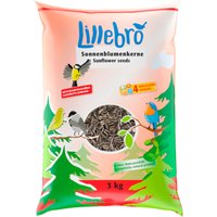 Lillebro Sonnenblumenkerne - 3 kg von Lillebro