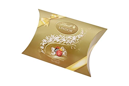 Lindt Schokolade LINDOR Kugeln Mischung | 149 g in Kissenpackung | Schokoladengeschenk von Lindt