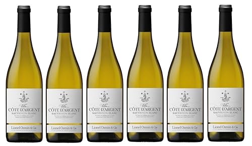 6x 0,75l - 2023er - Lionel Osmin & Cie - Villa - Côte d'Argent - Sauvignon Blanc - Sud-Ouest I.G.P. - Frankreich - Weißwein trocken 6x 0,75l - 2023er - Lionel Osmin & Cie - Villa - Côte d'Argent - Sauvignon Blanc - Sud-Ouest I.G.P. - Frankreich - Weißwein trocken von Lionel Osmin & Cie