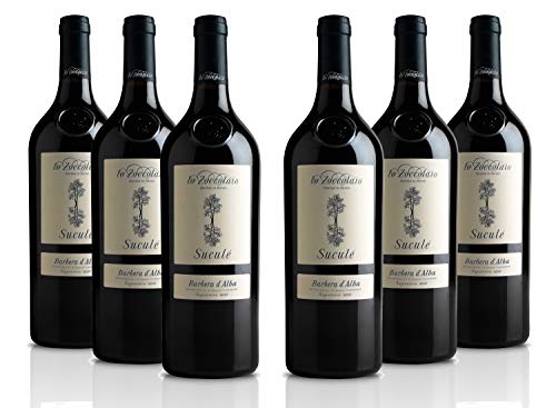 Lo Zoccolaio Barbera d'Alba DOC Suculè Superiore Rotwein - Flaschen Piedmont Wein Barbera trocken Barbera trocken (6 x 0.75 l) von Lo Zoccolaio