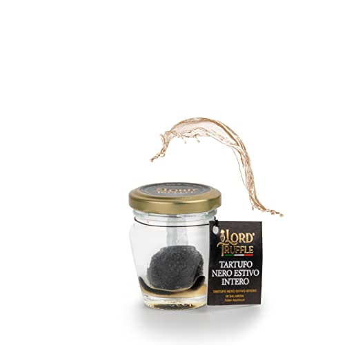 Lord Trufflel | Schwarzer Sommertrüffel in italienischer Salzlake 17 g, Duft von Unterholz, Gourmet Frischer Schwarzer Trüffel 1° Wahl, 100% Italienische Spitzenqualität von Lord Truffle