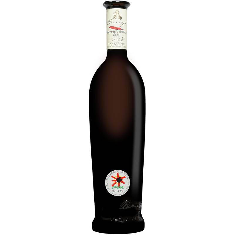 Bermejo Blanco Malvasía Seco 2024  0.75L 13% Vol. Weißwein Trocken aus Spanien von Los Bermejos