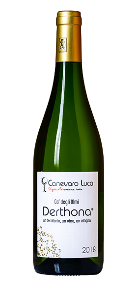 Derthona Timorasso Ca' degli Olmi DOC 2022 Derthona Timorasso Ca' degli Olmi DOC 2022 von Luca Canevaro