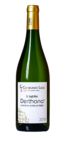 Derthona Timorasso Ca' degli Olmi DOC 2022 von Luca Canevaro