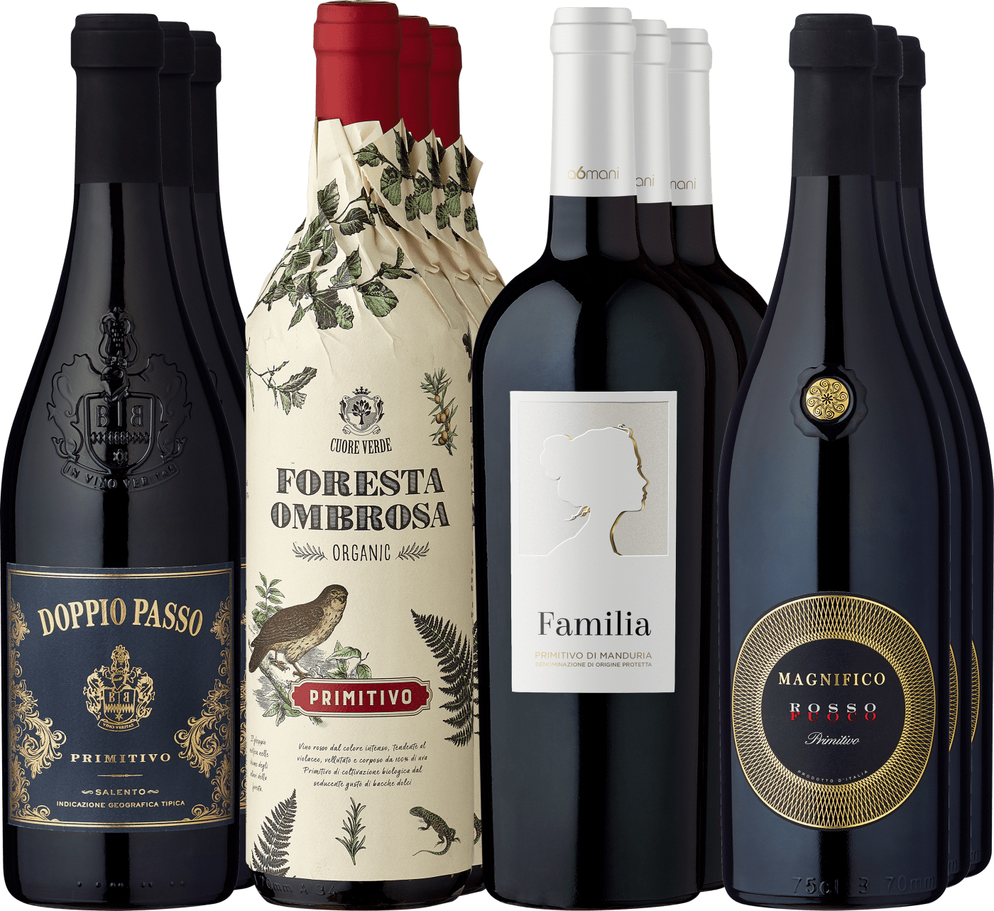 12er-Probierpaket »Primitivo-Vielfalt« 12er-Probierpaket »Primitivo-Vielfalt« von Ludwig von Kapff GmbH