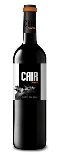 Luis Cañas Cair Cuvée Luci & Begoña, Ribera del Duero D.O trocken 2013 (1 x 0.75 l) von CAIR