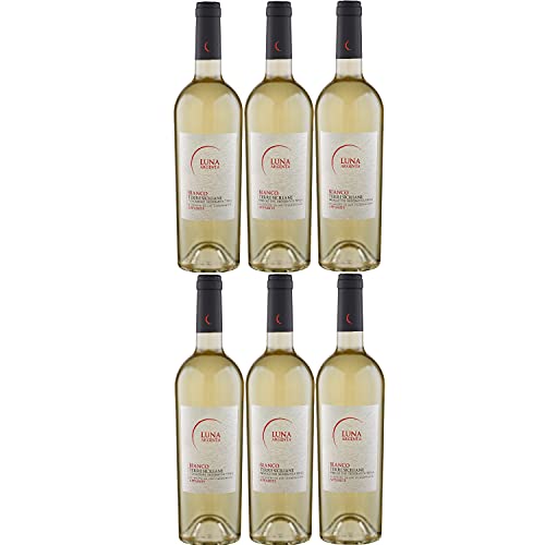Luna Argenta Bianco Terre Siciliane IGT Weißwein Wein halbtrocken Italien Inkl. FeinWert E-Book (6 Flaschen) von Luna Argenta