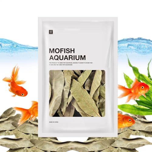 Wasser Conditioner Longan Urlaub - Aquariumfisch Longan Blatt, Wasserqualität Verbesserung der Dekoration | 50 Packaquariumblattstreu, Mehrzweckdekoration für Fischtank, Aquarium, 50 Aquariumblatt Wasser Conditioner Longan Urlaub - Aquariumfisch Longan Blatt, Wasserqualität Verbesserung der Dekoration | 50 Packaquariumblattstreu, Mehrzweckdekoration für Fischtank, Aquarium, 50 Aquariumblatt von Lunaobrik